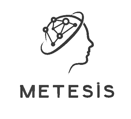 Metesis Teknoloji